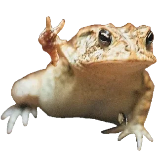 Sticker Больше стикеров 👉🏻 @stickertg4 - 11