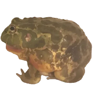 Sticker Больше стикеров 👉🏻 @stickertg4 - 3