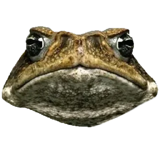 Sticker Больше стикеров 👉🏻 @stickertg4 - 9