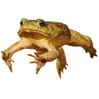 Sticker Больше стикеров 👉🏻 @stickertg4 - 0