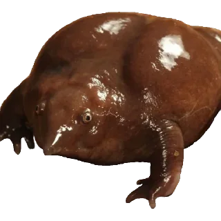 Sticker Больше стикеров 👉🏻 @stickertg4 - 5