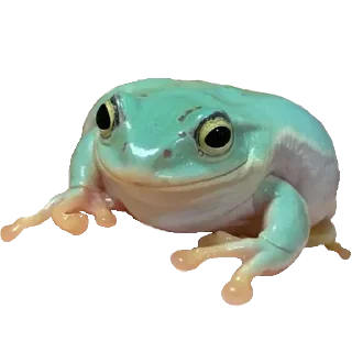 Sticker Больше стикеров 👉🏻 @stickertg4 - 4