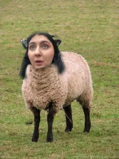 Sticker go_vno_ri - 11