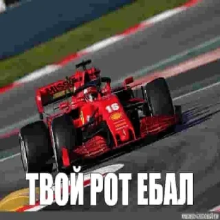 Sticker ОПА ВАНДОРН - 3