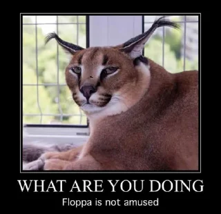 Big Floppa - млекопитающее