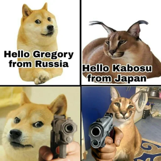 млекопитающее животное домашнее животное