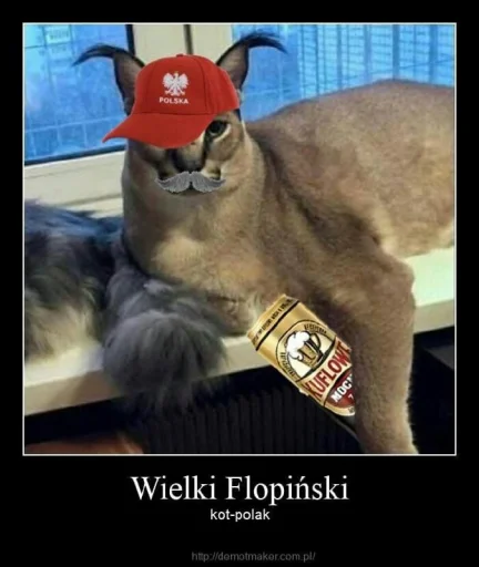 кошка животное СМС