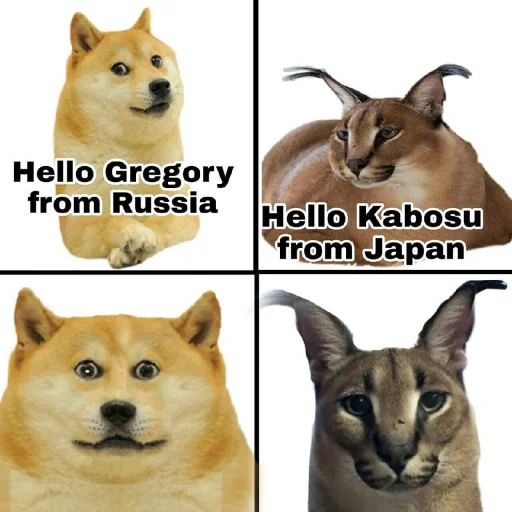 животное млекопитающее кошка