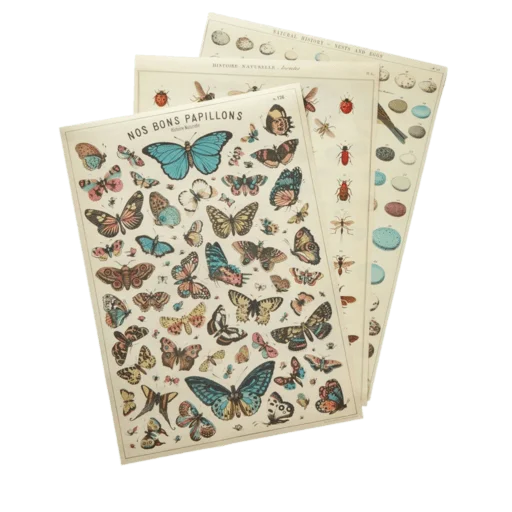 Стикер goblinecore by @raiinfield - 11