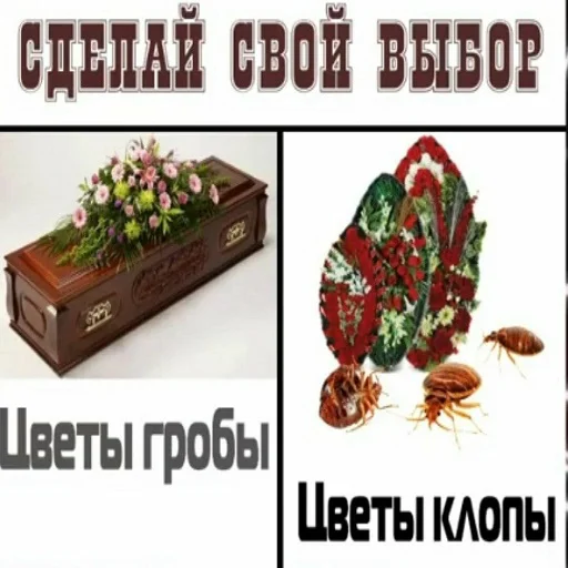 Стикер gobzshoy - 1