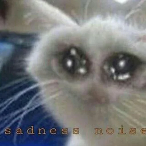 животное млекопитающее кошка