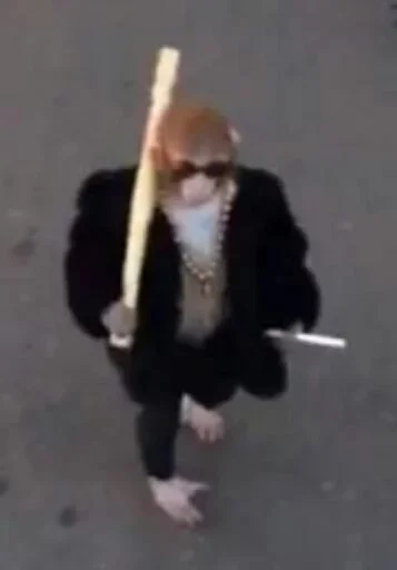 Человек одежда на открытом воздухе