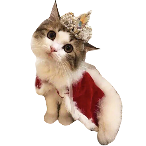 Sticker goddamn_cats - 1