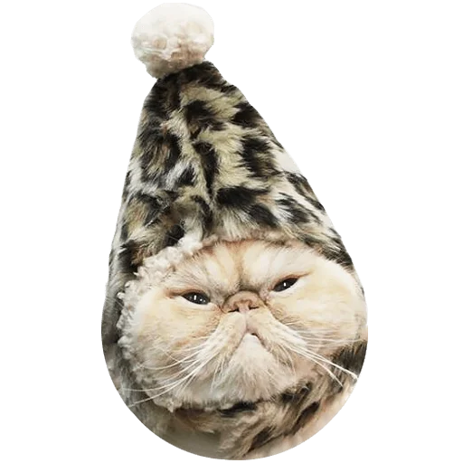 Sticker goddamn_cats - 1