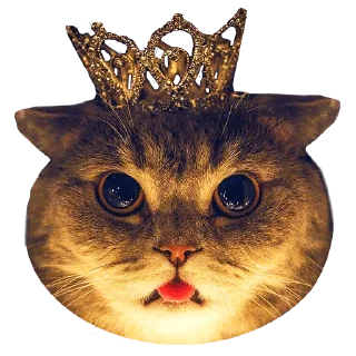 Sticker Goddamn cats - 3