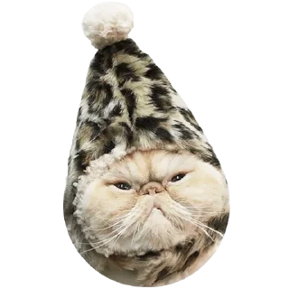 Sticker Goddamn cats - 4