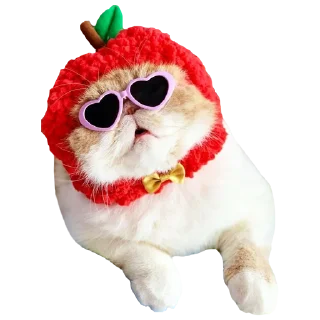 Sticker Goddamn cats - 7