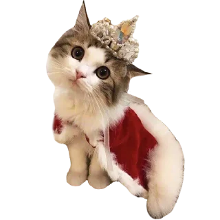 Sticker Goddamn cats - 10