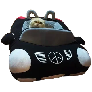 Sticker Goddamn cats - 11