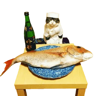 Sticker Goddamn cats - 8