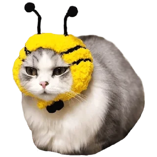 Sticker Goddamn cats - 2