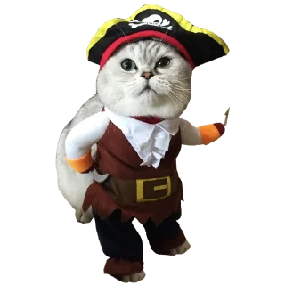 Sticker Goddamn cats - 6