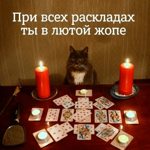 Стикер Жиза потому что - 6