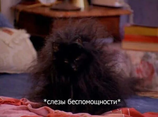 Стикер Жиза потому что - 3