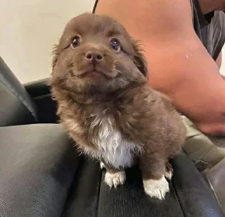 Стикер Солянка by @g0gavan - 8