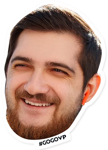 Sticker virtus.pro - 7