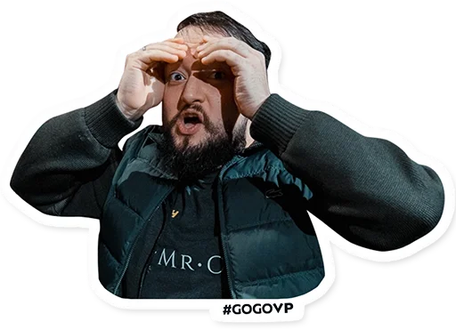 Sticker virtus.pro - 0