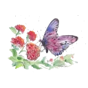 Стикер golab 🌸 - 1