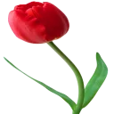 Стикер golab 🌸 - 2