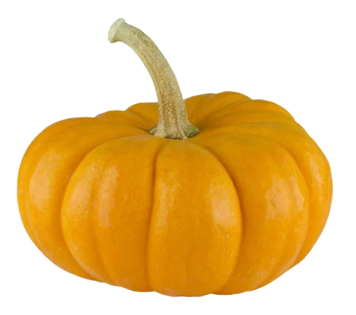 pumpkin natural foods gourd