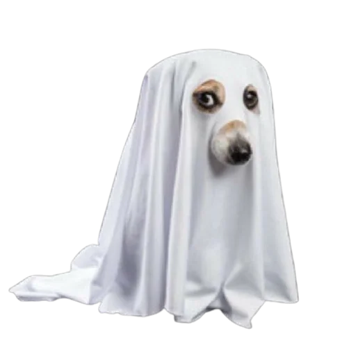 clothing head covering