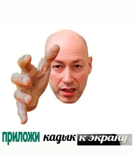 human face man person