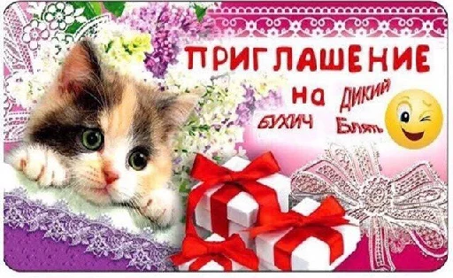 text cat small to medium-sized cats