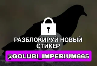 Sticker Голубь @GOLUBI_IMPERIUM665 @TgEmodziBo - 8
