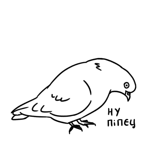 Голубь Мира - 