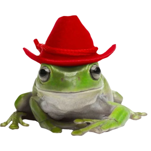 true frog cartoon hat
