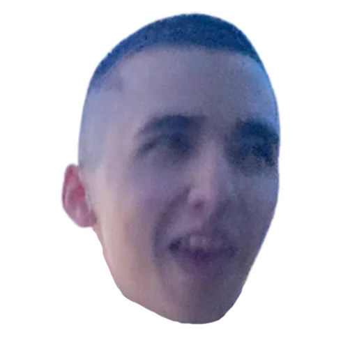 человеческое лицо лоб щека