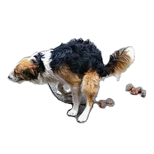 Sticker gomoeblya - 1