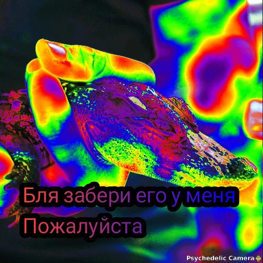 Стикер gomoeblya - 1