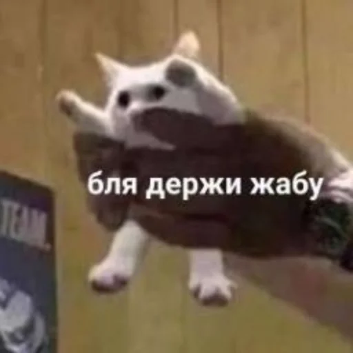 Sticker gomoeblya - 1