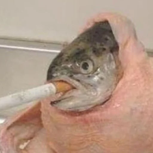 Sticker gomoeblya - 1