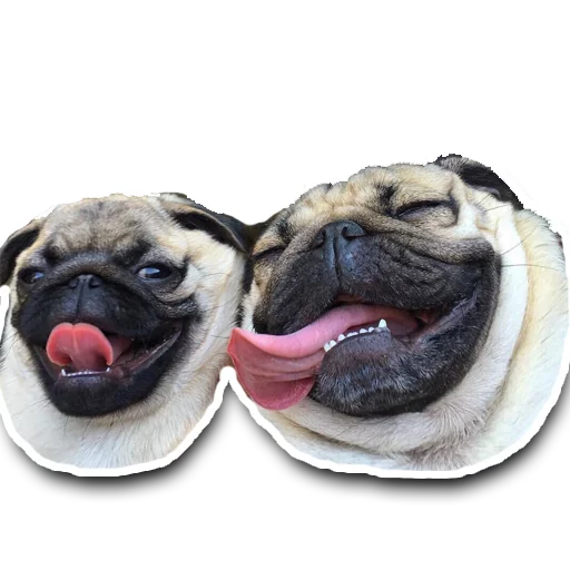 Sticker gomoeblya - 1