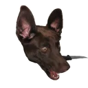 Sticker gomoeblya - 1