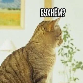 Sticker gomoeblya - 4