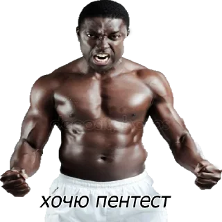 Sticker gomosecurity - 3