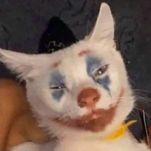 мех меховой млекопитающее